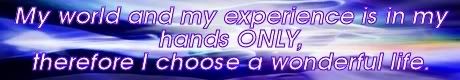 my world and my experience are in my hands only, therefore i choose a wonderful life. Mike Ludens Law of Attraction Creations