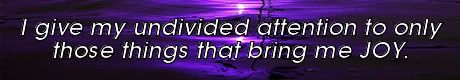 i give my undivided attention to only those things that bring me joy. Mike Ludens Law of Attraction Creations