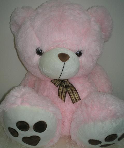 disney pink bear