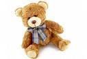 teddybear.jpg Teddy Bear (small) image by KLK492