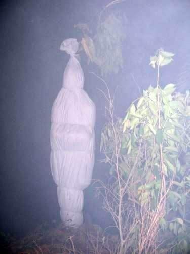 pocong Pictures, Images and Photos