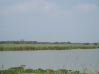one of many rivers we've passed