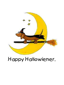 Hallowiener Pictures, Images and Photos