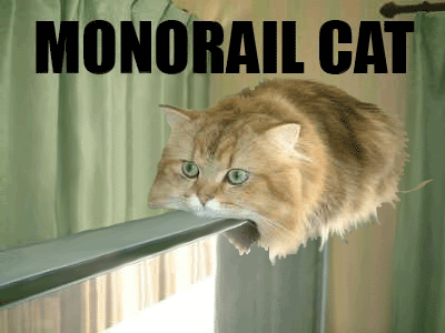 monorail-cat-has-left-the-station.gif