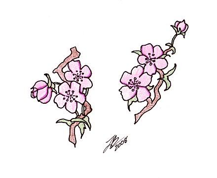 Amazing Japanese Cherry Blossom Tattoo Designs Picture 1