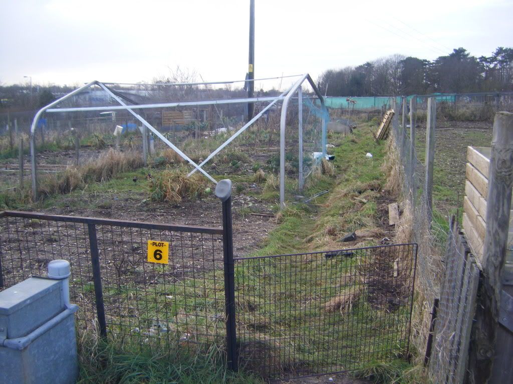 AllotmentJan09008.jpg