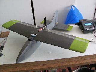 IMG_1481.jpg