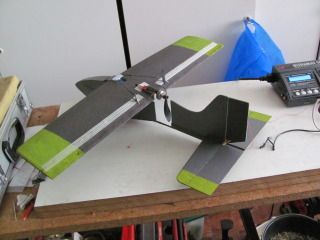 IMG_1482.jpg