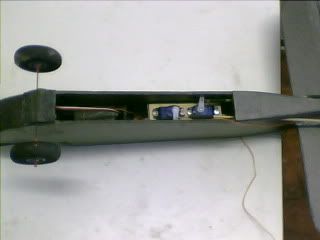 minibee5.jpg