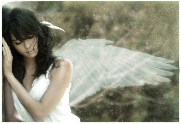 angel Pictures, Images and Photos