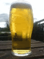 beer photo:  birrota.gif