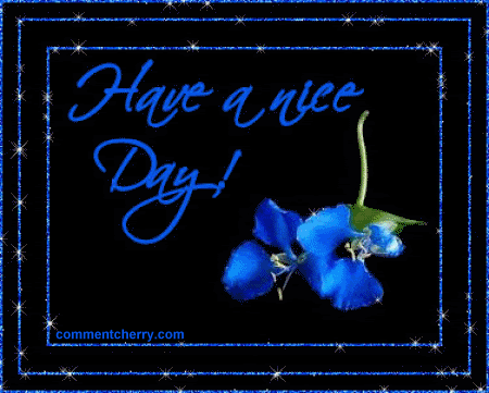 good day photo:  s20nice11.gif