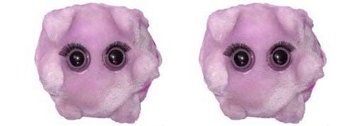 Plush Microbe Plush Microbe