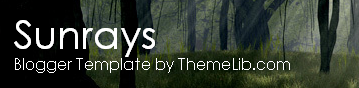 SunRays blogger template - Name and Description