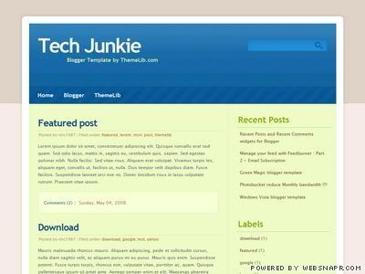  Tech Junkie blogger template