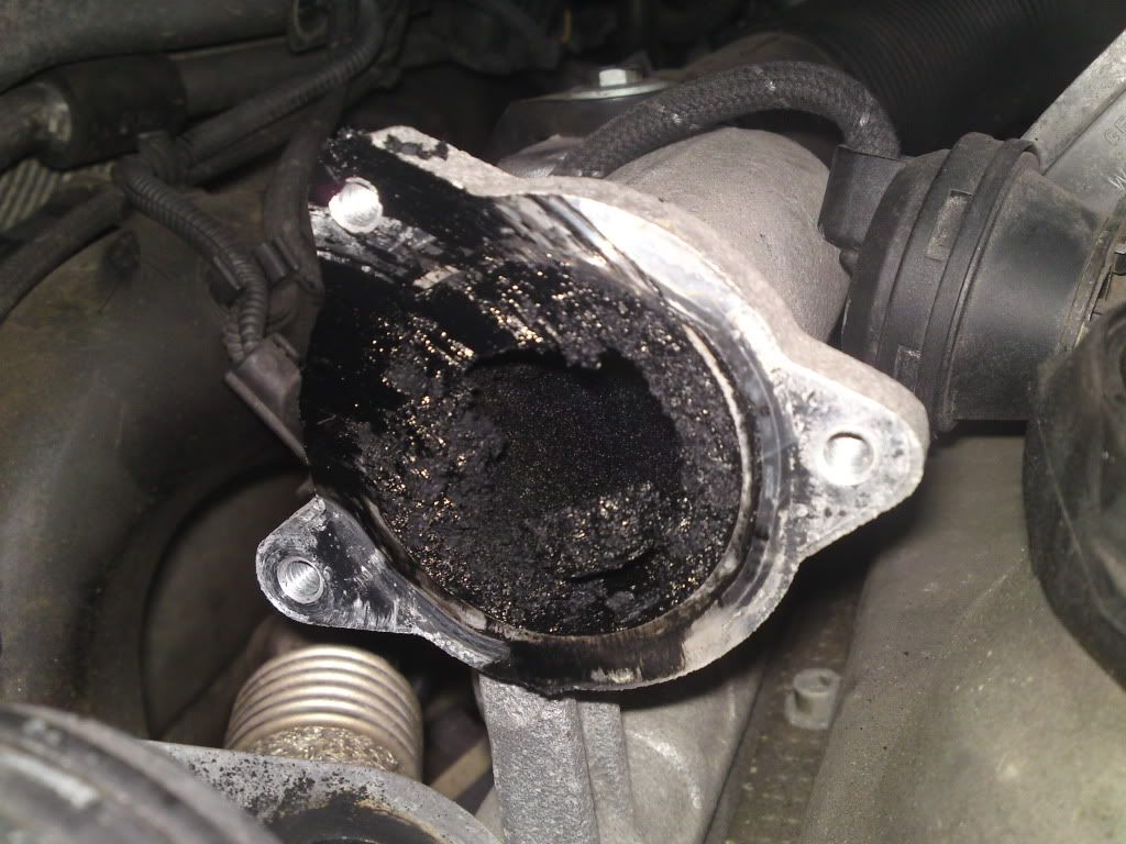 [Mk4 Golf] EGR delete kit.. Engine, Tuning and Performance ukmkivs