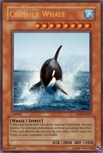CrusherWhale-1.jpg