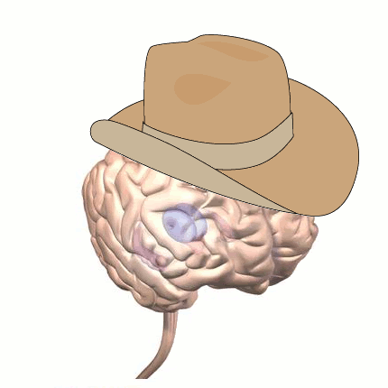 brain.gif image by prabbit237