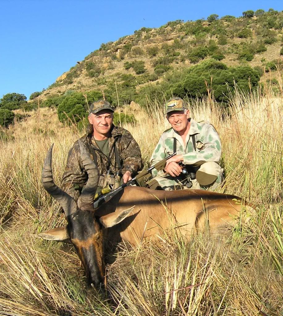 redhartebeest-web.jpg