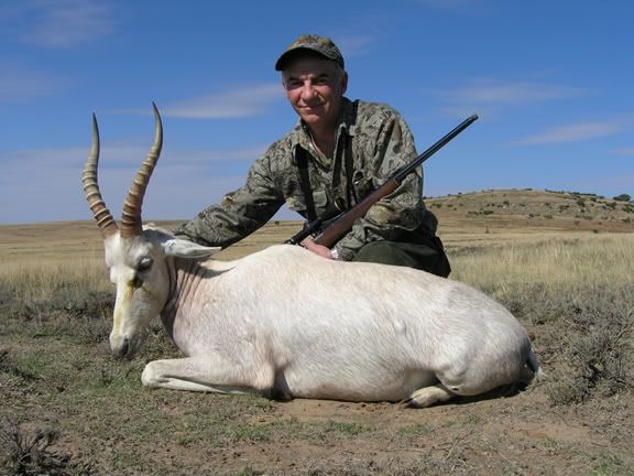 whiteblessbok-1.jpg