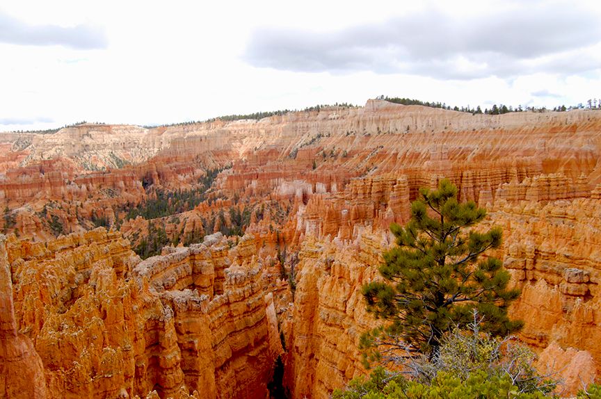 Bryce35_zpsq8sjba9a.jpg