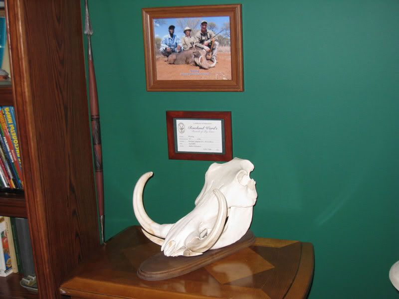 warthog-skull.jpg