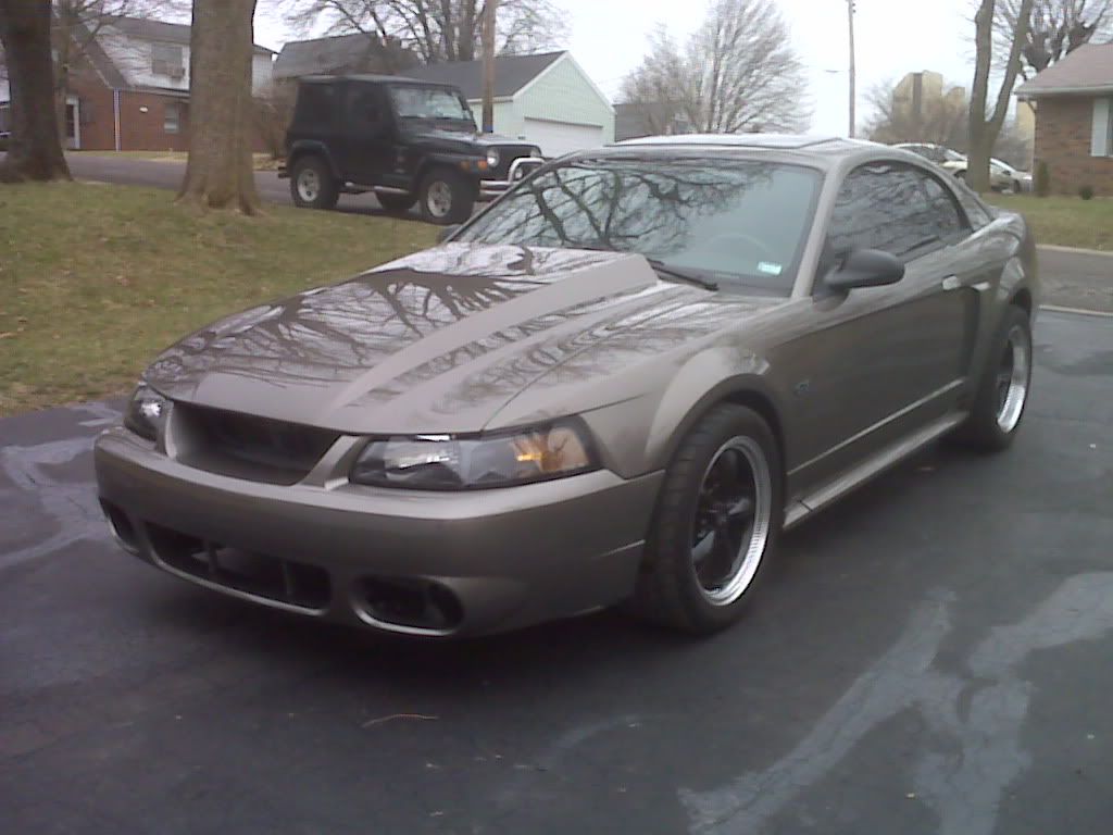 pics of my new hood and front bumper Modded Mustang Forums