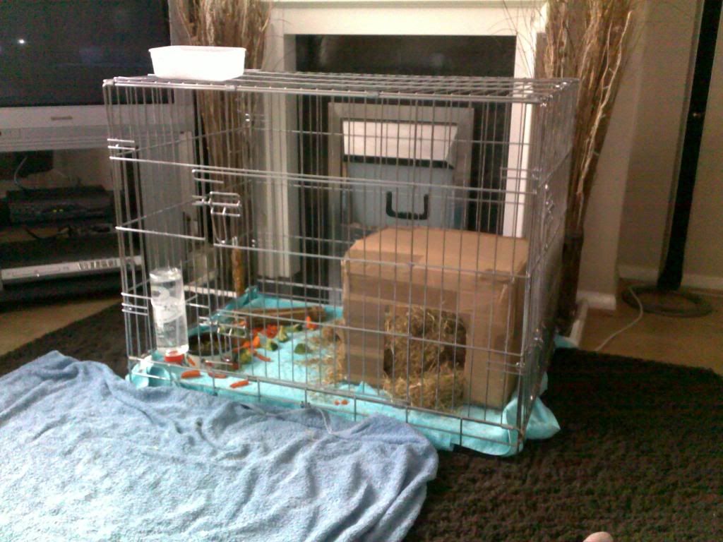 08072009009.jpg