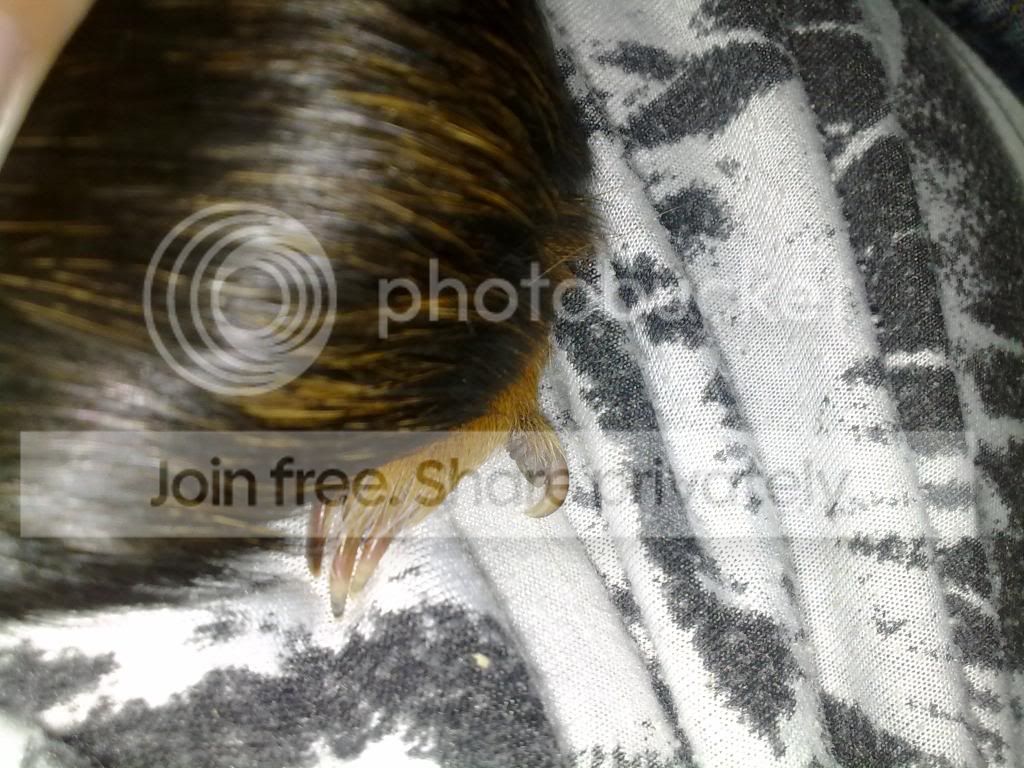 21062009003.jpg