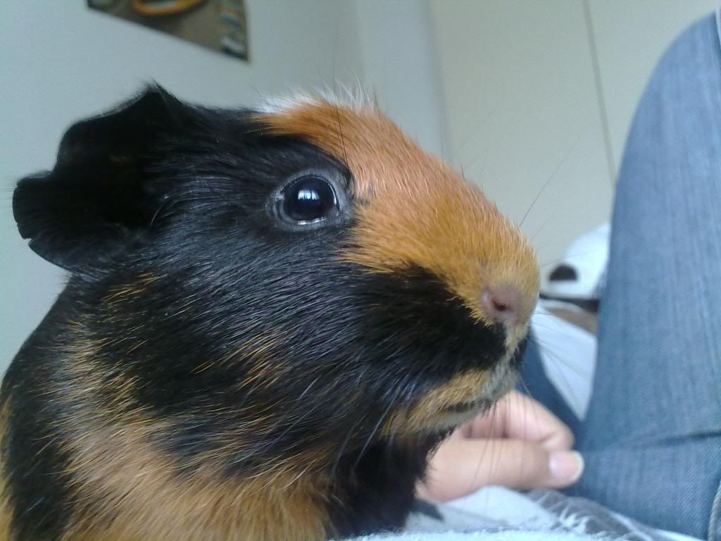 21062009012.jpg