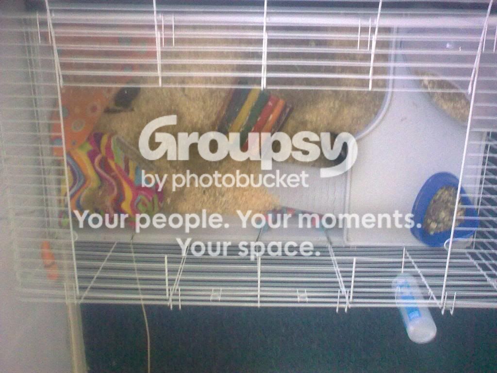 23042010576.jpg