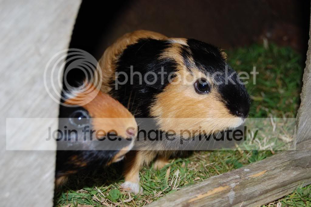 DSC_0121.jpg