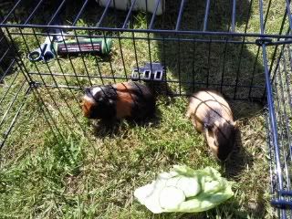 Photo0093.jpg