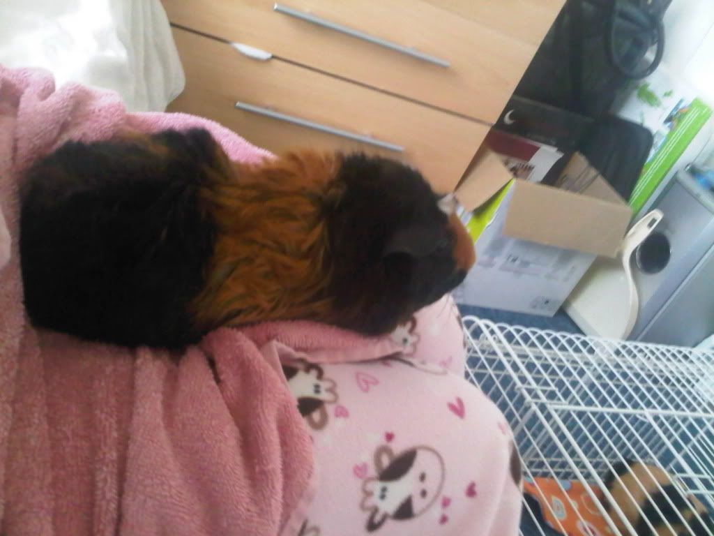 IMG00121-20100528-1425.jpg