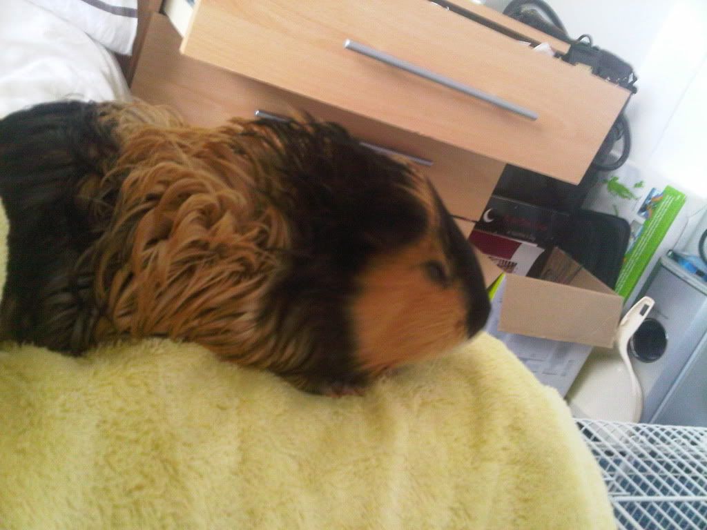 IMG00123-20100528-1433.jpg