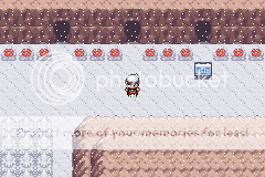 Pokemon Frozen Glory