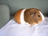 P1010007.jpg