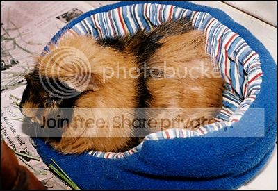 Fridayonhissofa2010.jpg
