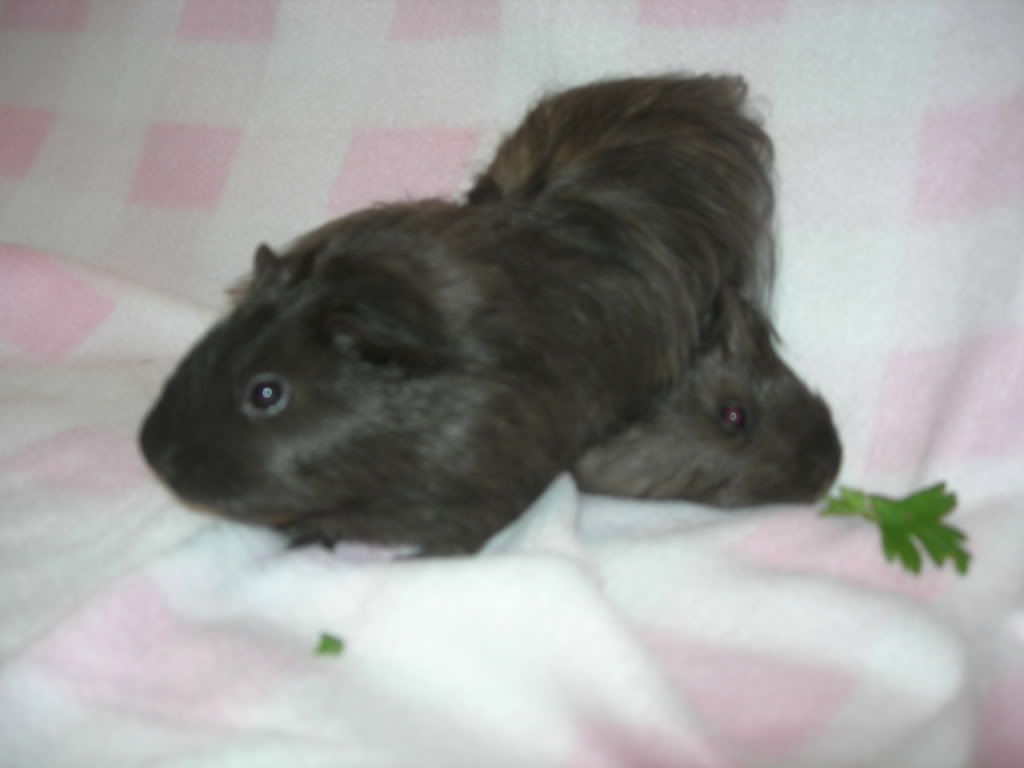 DSCN2291.jpg