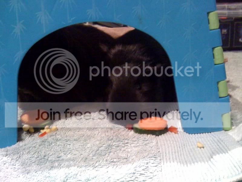 photo-15.jpg