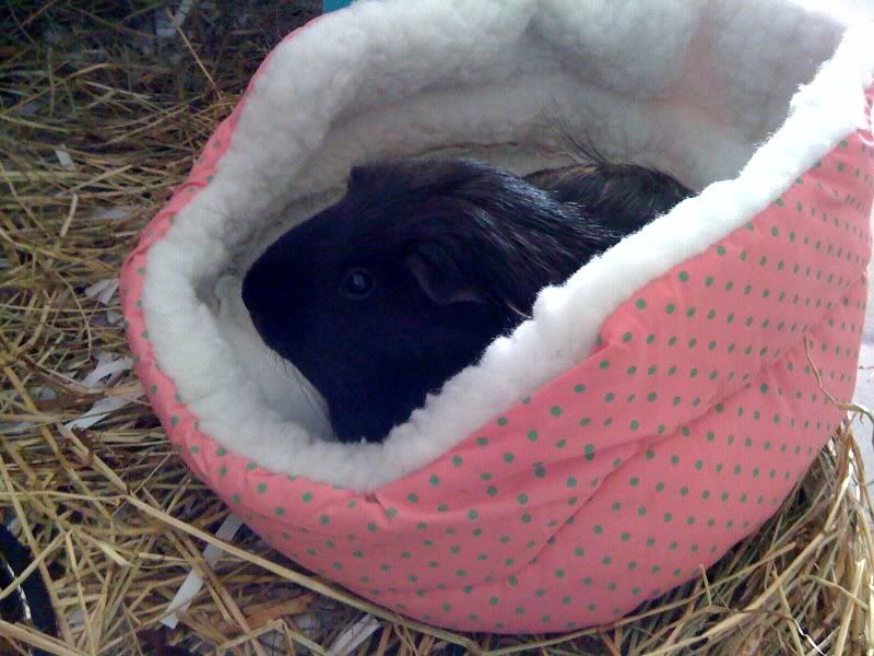 photo-21.jpg