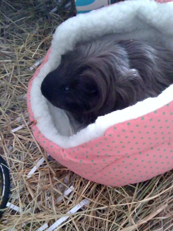 photo-23.jpg