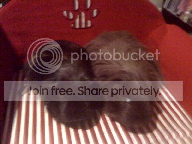 photo-38.jpg