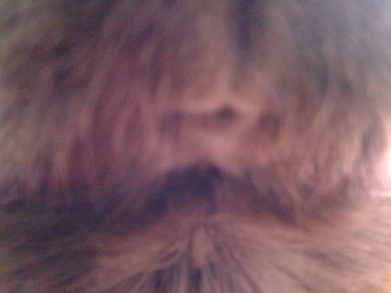 photo-56.jpg
