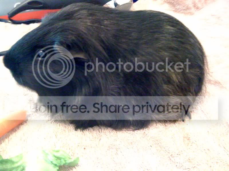 photo-62.jpg