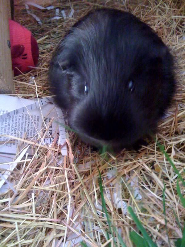 photo-73.jpg