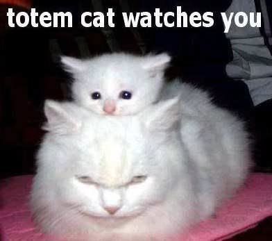 Totem kitty