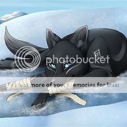 Black Wolf With Ice Blue Eyes Pictures Images Photos