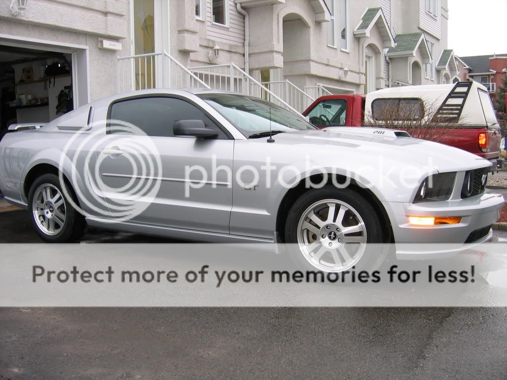 Differences between 2010 and 2011 ford mustang #6