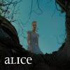 alice in wonderland
